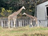 東山動植物園　～ 名古屋 その 7 ～