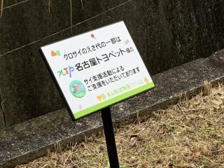 写真撮りまくり…（笑）