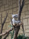 東山動植物園　～ 名古屋 その 7 ～