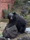 東山動植物園　～ 名古屋 その 7 ～