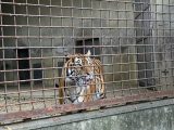 東山動植物園　～ 名古屋 その 7 ～