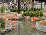 東山動植物園　～ 名古屋 その 7 ～