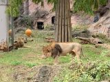 東山動植物園　～ 名古屋 その 7 ～