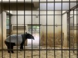 東山動植物園　～ 名古屋 その 7 ～