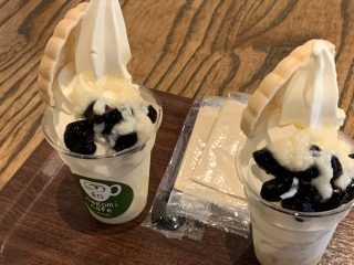 玄武洞 ~城崎旅行 その 3 ~