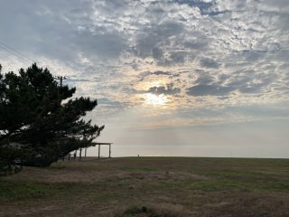 防風保安林ということで島の西岸のこの地域では かなり広いエリアに松林が広がっています。