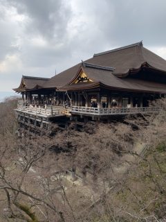 今日は京都どすえ~