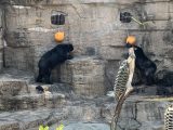 天王寺動物園