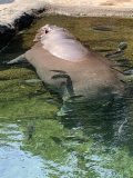 天王寺動物園