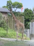 天王寺動物園