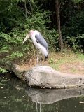 天王寺動物園