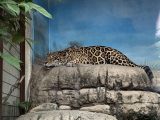 天王寺動物園