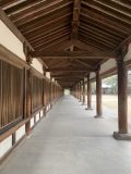 語り部による法隆寺再発見ツアー　～法隆寺へ その 8 ～