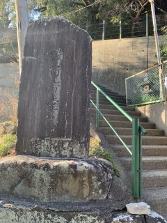 朝の散歩 ~和歌山 202502 その 5 ~