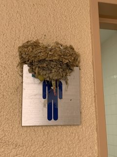 本日は新規パソコンの設定