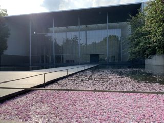 東京国立博物館 その 4