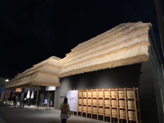 行ったぜ!万博! その 19