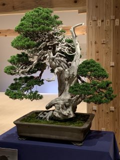 行ったぜ!万博! その 24