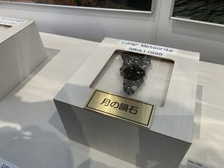 行ったぜ！万博！ その 31