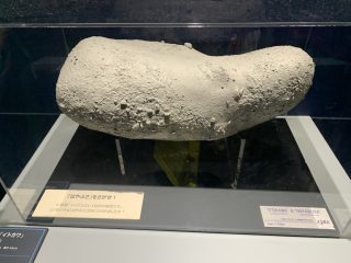 行ったぜ!東京! ~その 5 ~ 深宇宙展