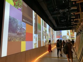 行ったぜ!万博! その 62