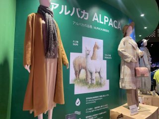 行ったぜ!万博! その 77