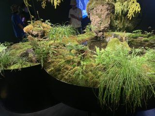行ったぜ!万博! その 85