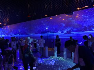 行ったぜ！万博！ その 88