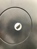 行ったぜ!万博! その 89