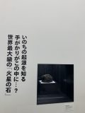 行ったぜ!万博! その 89