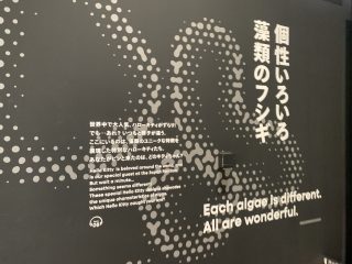 行ったぜ！万博！ その 90