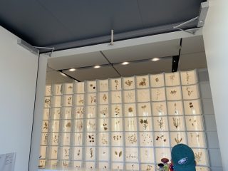 行ったぜ!万博! その 103