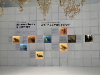 行ったぜ!万博! その 103