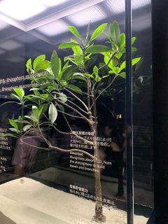 行ったぜ!万博! その 108