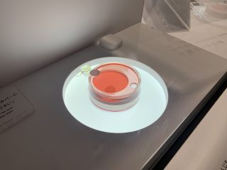 行ったぜ！万博！ その 118