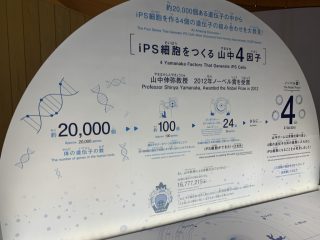 行ったぜ！万博！ その 118