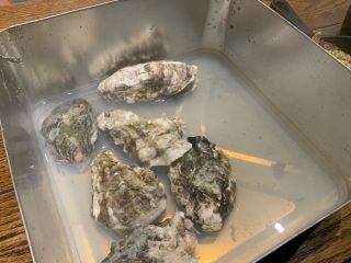 牡蠣とお好み焼き 広島名物 鉄板堂広島駅前店