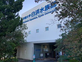 京都大学白浜水族館 ~白浜温泉へ その 3 ~
