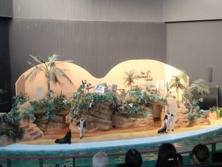アドベンチャーワールド ~白浜温泉へ その 6 ~