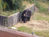 アドベンチャーワールド ~白浜温泉へ その 6 ~