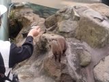 アドベンチャーワールド ~白浜温泉へ その 6 ~