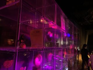 行ったぜ！万博！ その 130