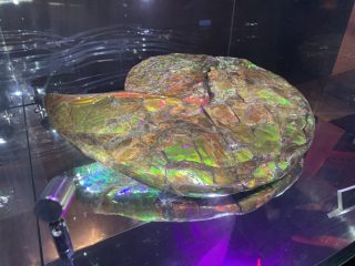 行ったぜ！万博！ その 130