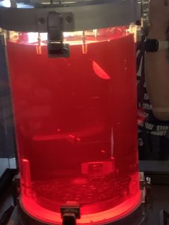 行ったぜ!万博! その 131