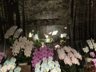 行ったぜ!万博! その 143