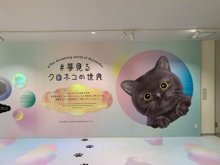 行ったぜ!万博! その 146