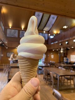 続々・アドベンチャーワールド ～白浜温泉へ その 8 ～