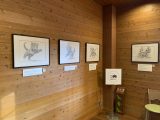 続々・アドベンチャーワールド ～白浜温泉へ その 8 ～