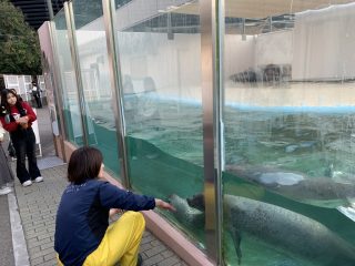 続々・アドベンチャーワールド ～白浜温泉へ その 8 ～