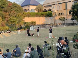 続々・アドベンチャーワールド ～白浜温泉へ その 8 ～